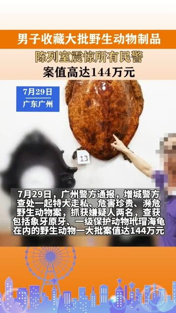 標本陳列室暗藏殺機 巨額非法野生動物制品案背后的生態(tài)警鐘